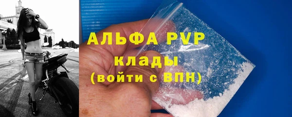 трава Арсеньев