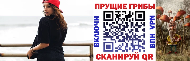 купить наркотики сайты  mega зеркало  Галлюциногенные грибы GOLDEN TEACHER  Адыгейск 